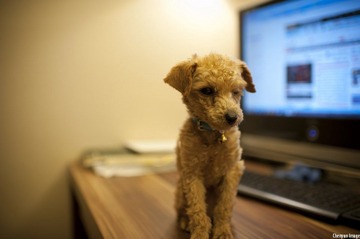 nEO_IMG_DSC_8057.jpg