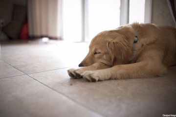 nEO_IMG_DSC_8140.jpg