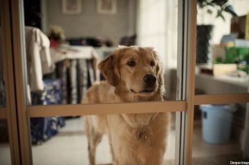 nEO_IMG_DSC_8260.jpg