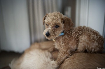 nEO_IMG_DSC_8270.jpg