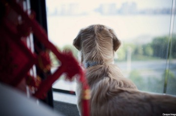 nEO_IMG_DSC_8296.jpg