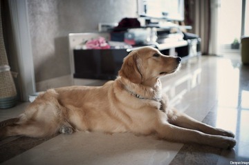 nEO_IMG_DSC_8307.jpg