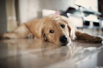nEO_IMG_DSC_8312.jpg