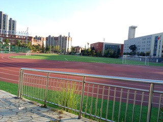 3536939