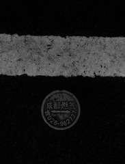 5258DA73-8014-47DC-A2D1-576C6518C6C4/L0/001