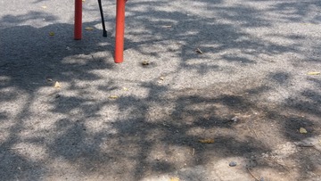328355