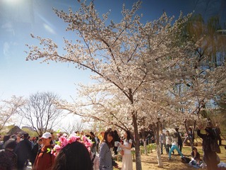 P4089657.JPG
