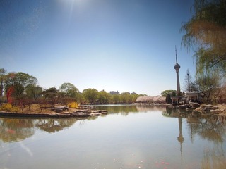 P4089662.JPG