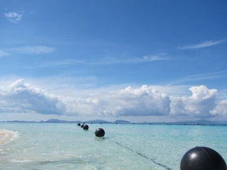 IMG_4793.JPG