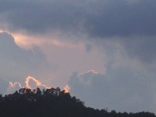 7442BA99-468F-494D-80FD-144ED75C8EBD/L0/001