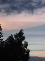 346333F0-B784-4B54-91E5-571E8DDAF35E/L0/001