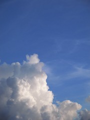 9B96F9E5-8B99-49B7-ACE3-4E4147760ACD/L0/001