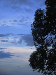 8D6F8F3A-3B42-4793-94C0-B03FA89E84D6/L0/001