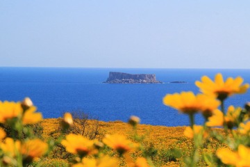 IMG_9590.JPG