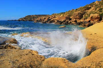 IMG_9747.JPG