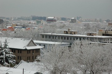 DSC_5870.JPG