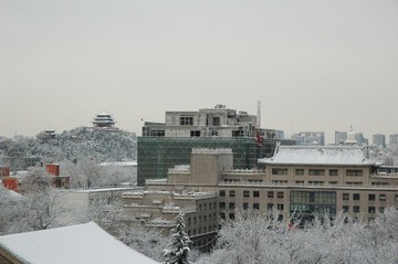 DSC_5878.JPG