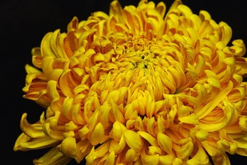 DSC00021.jpg