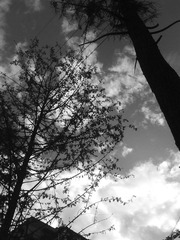 DSC00114.JPG