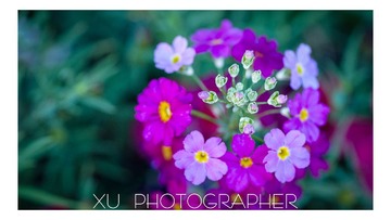 DSC_8722.jpeg
