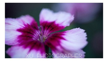DSC_8728.jpeg