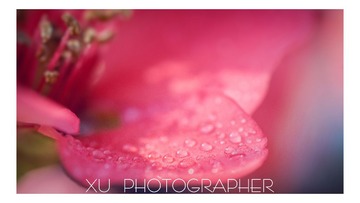 DSC_8790.jpeg