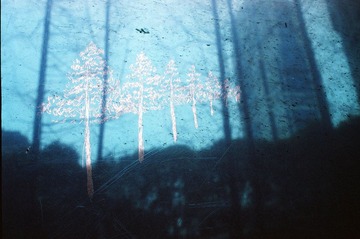 37890022.JPG