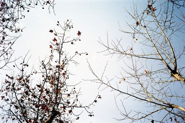 38460036.JPG