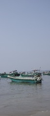 12C8E90D-784E-43E1-9D2C-F79DDCE07778/L0/001
