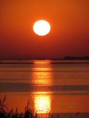 728867E8-A132-45D6-A73E-EAEBA09CDE35/L0/001