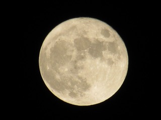 D87B15A0-690F-4B89-99AB-40295B4C2983/L0/001