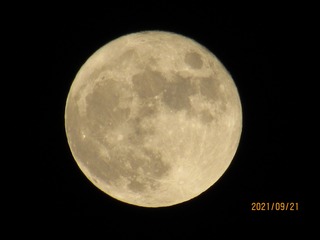 04253202-8B26-4D8A-B403-5766334471E1/L0/001