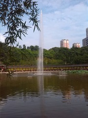 510