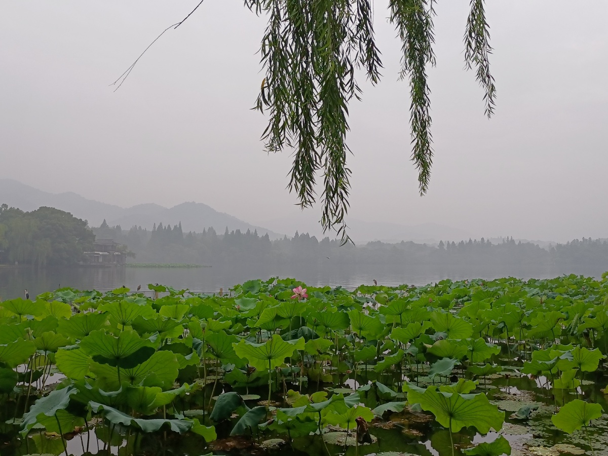 雨中的西湖