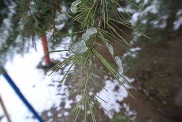 DSC_1600.JPG