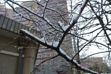 DSC_1605.JPG