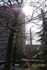 DSC_1607.jpg