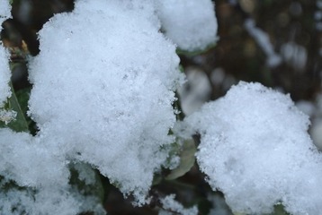 DSC_1612.JPG