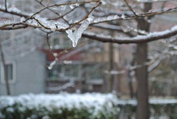 DSC_1613.JPG