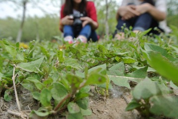 照片 040.jpg