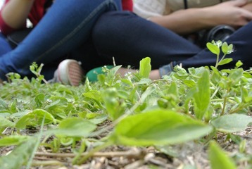 照片 048.jpg