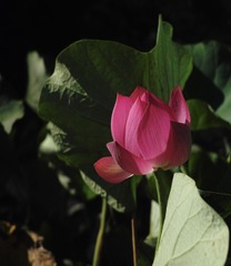 19211