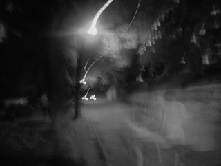 DSCF0040.jpg