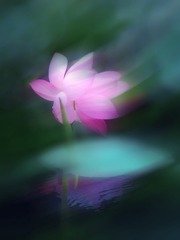 95E2102E-1CA8-440D-B5D7-4D6BDB233C70/L0/001