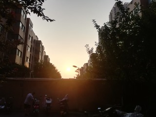 395542