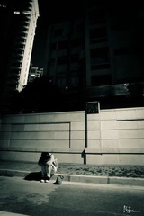 nEO_IMG_IMG_0228.jpg