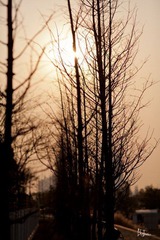 nEO_IMG_IMG_4661.jpg