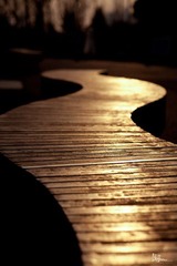 nEO_IMG_IMG_4664.jpg