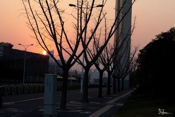 nEO_IMG_IMG_4761.jpg