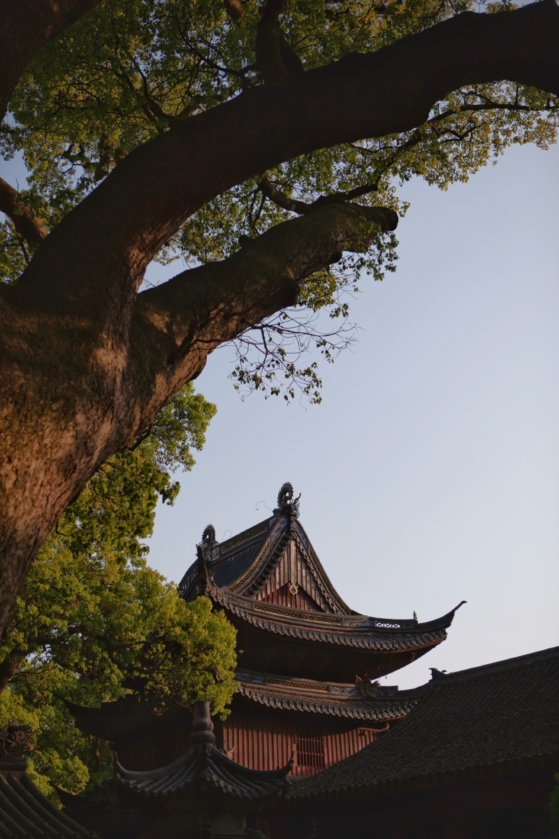 清晨的寺庙一角